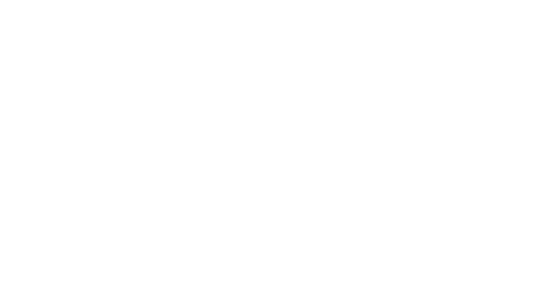 FF Security